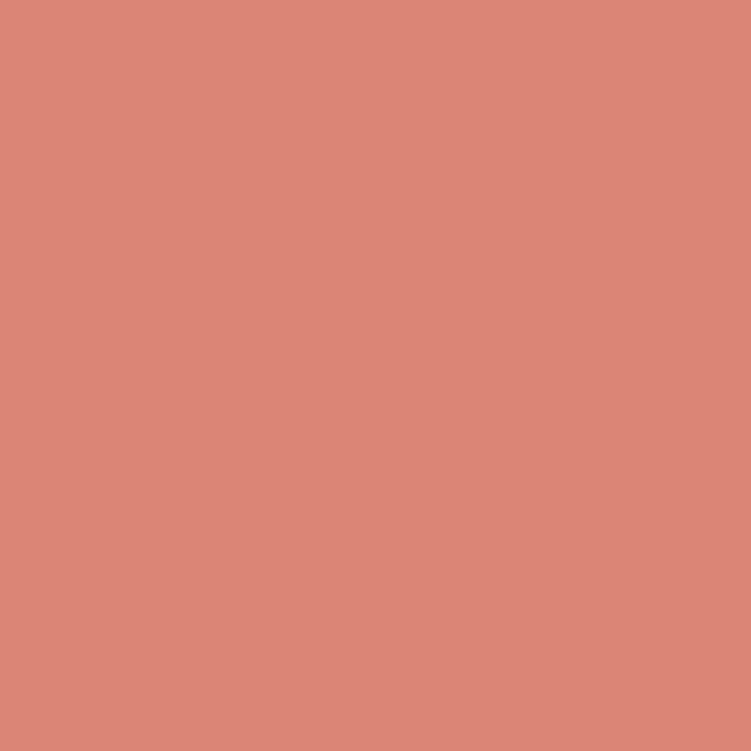 FLYUP Blusher