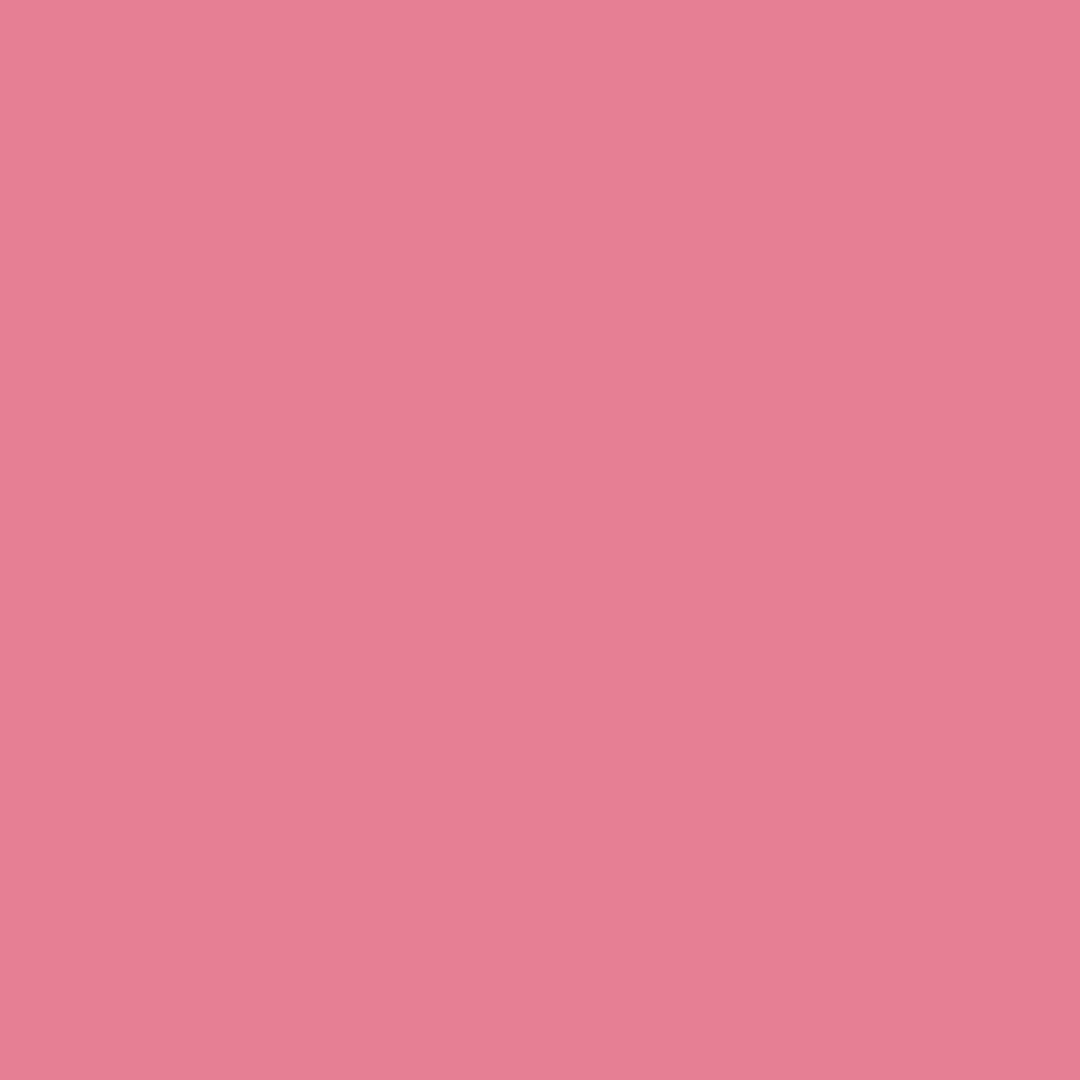 FLYUP Blusher