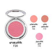 FLYUP Blusher