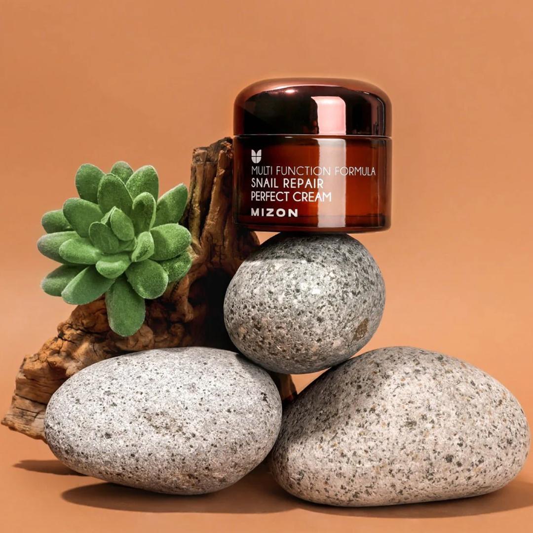 MIZON Snail Repair Perfect Cream